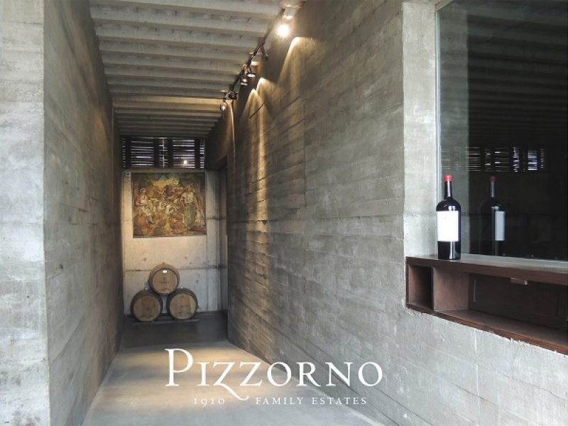 Bodega Pizzorno - Visita e Degustação com Almoço - Instalações