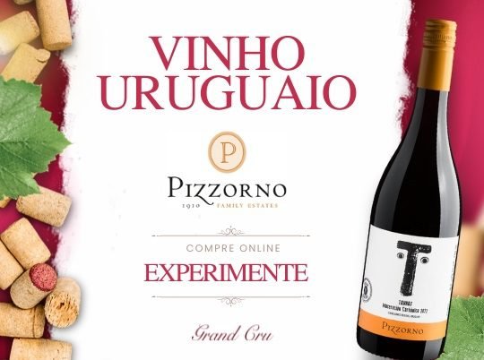 Comprar vinho uruguaio tannat pizzorno uruguai brasil online