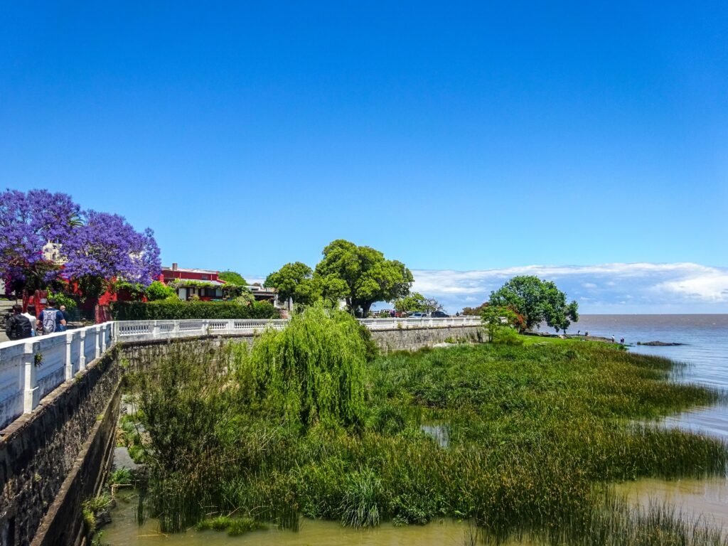 imagem de rio com passarela de mandeira A Avenida General Flores em Colônia do Sacramento é mais do que uma rua, é o fio condutor entre o cotidiano e a história de uma das cidades mais charmosas do Uruguai. Em poucos quarteirões, você atravessa do shopping moderno aos carrinhos de golfe, dos cafés boêmios aos restaurantes tradicionais, até desembocar na vista do Rio da Prata. Para quem visita Colônia, é a rua mais difícil de evitar, e justamente por isso, vale aproveitar com calma. Reservar tempo para caminhar com atenção, parar para um café, comprar uma lembrança e terminar no pôr do sol é o que separa uma visita rápida de uma experiência completa em uma cidade que pede ritmo desacelerado. Quer descobrir Colônia do Sacramento e o melhor do Uruguai com quem conhece cada esquina? Clique no banner abaixo. Avenida General Flores em Colônia do Sacramento