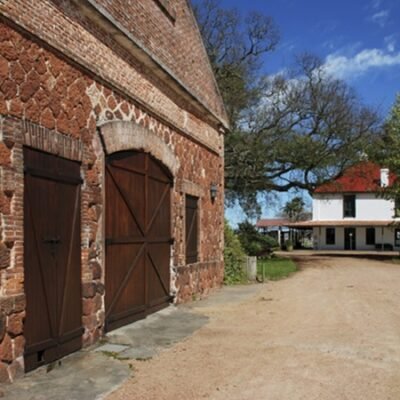 Bodega Familia Deicas Juanico Vinicola Como Chegar Visita Guiada