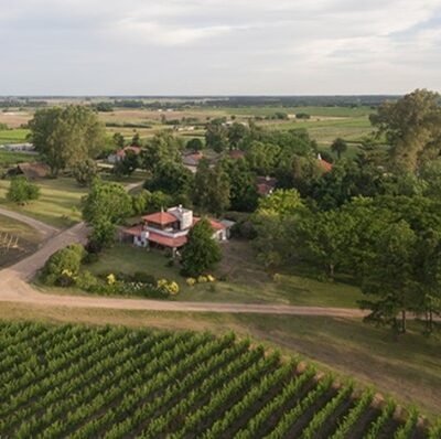 Bodega Familia Deicas Juanico Vinicola Visita Guiada