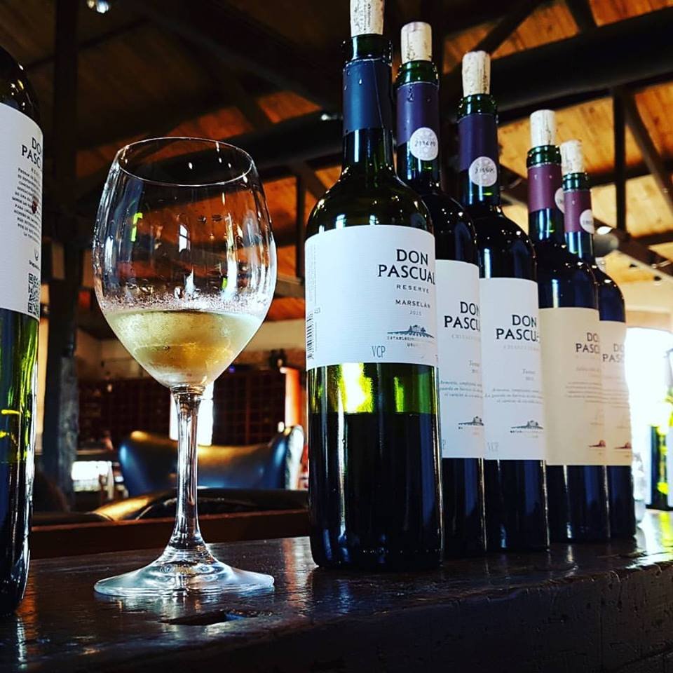 taça com vinho e várias garrafas de vinho ao lado