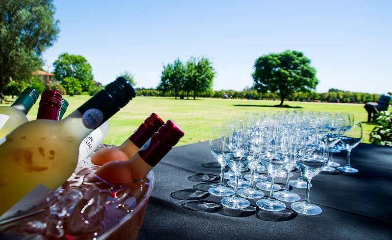 Cenário para evento ao ar livre com um balde de vinho e várias taças de vinho vazias sobre uma toalha de mesa preta, gramado verde e árvores ao fundo.