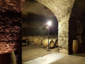 Wine cellar with wooden barrels lined up under a vaulted stone arch, illuminated by a bright overhead lamp