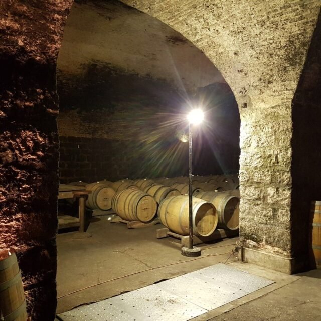 Wine cellar with wooden barrels lined up under a vaulted stone arch, illuminated by a bright overhead lamp