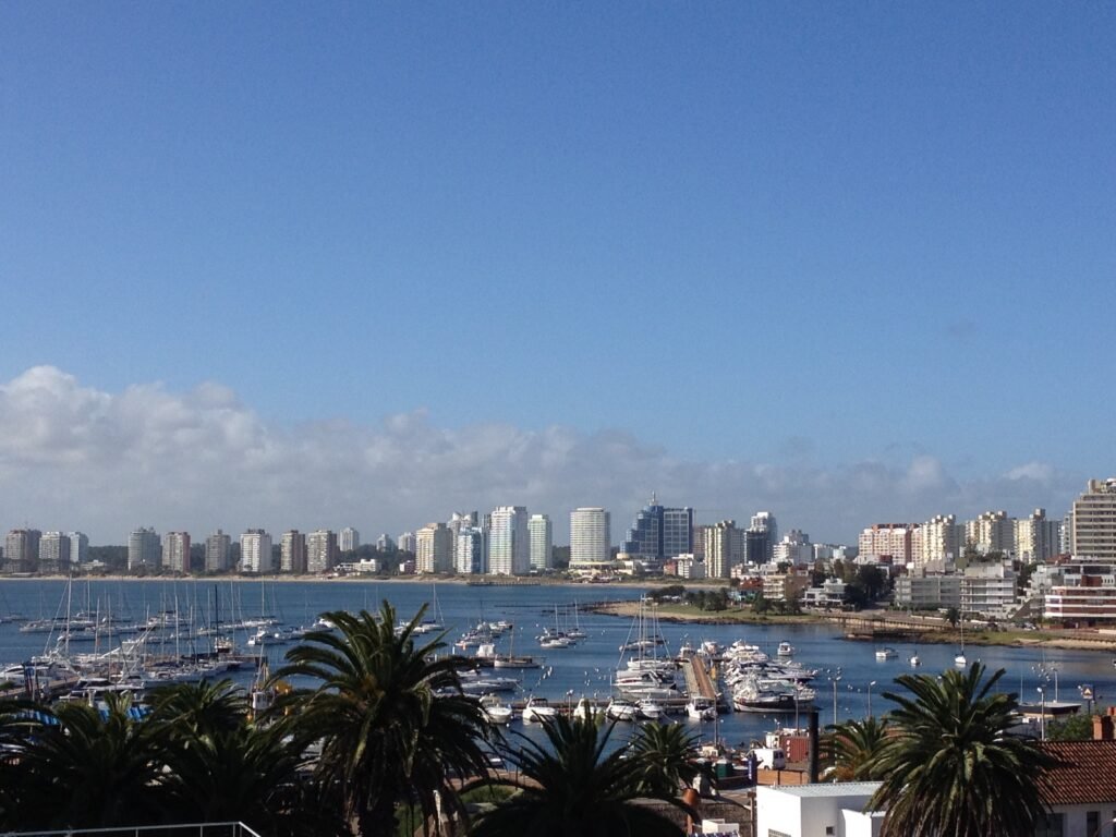 vegetação, cidade, mar e o céu azul ao fundo de uma vita panorâmica