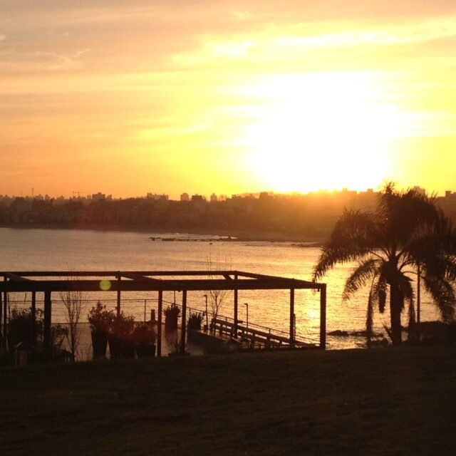 Silhueta ao pôr do sol dourado e alaranjado na Rambla de Montevidéu, Uruguai, à beira do Rio da Prata. A imagem mostra uma estrutura de pérgola moderna à esquerda, plantas em vasos e uma palmeira proeminente à direita, com o horizonte da cidade ao longe sobre a água cintilante sob a luz intensa do sol poente.