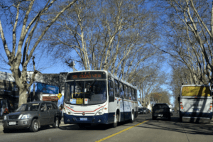Cena de rua urbana ensolarada com um ônibus branco e azul da linha 125 'CIUDAD VIEJA' no centro. A rua é ladeada por árvores sem folhas e edifícios comerciais baixos à esquerda, com um SUV cinza próximo. Outro ônibus é visível ao longe à direita. O letreiro 'CORREO' está visível em uma loja azul.
