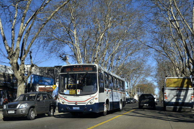 Cena de rua urbana ensolarada com um ônibus branco e azul da linha 125 'CIUDAD VIEJA' no centro. A rua é ladeada por árvores sem folhas e edifícios comerciais baixos à esquerda, com um SUV cinza próximo. Outro ônibus é visível ao longe à direita. O letreiro 'CORREO' está visível em uma loja azul.