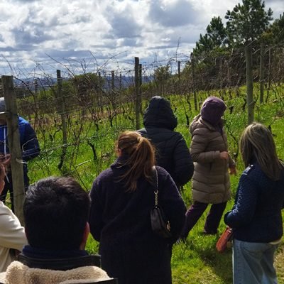 Bodega Alto de la Ballena Vinicola em Punta del Este Preço