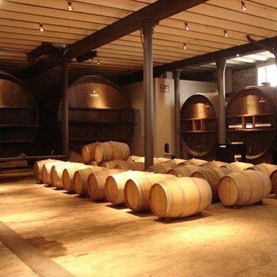 Bodega Spinoglio Almoço Montevideo