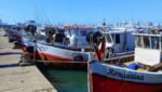 Passeio Porto Punta del Este Peninsula
