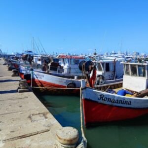 Passeio Porto Punta del Este Peninsula