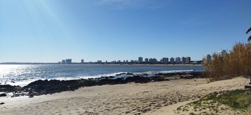 Se você busca praias ensolaradas e um clima vibrante, o verão é a melhor época para ir para Punta del Este.