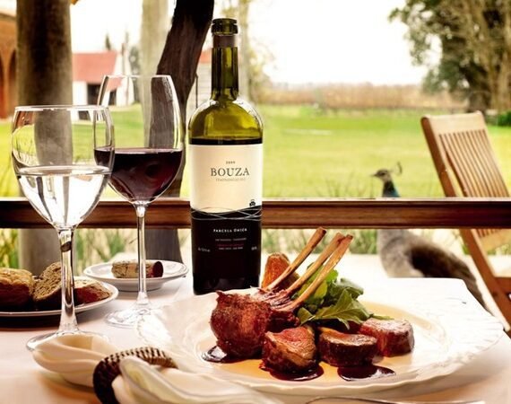 O que fazer em Montevideu na parada do cruzeiro vinícola