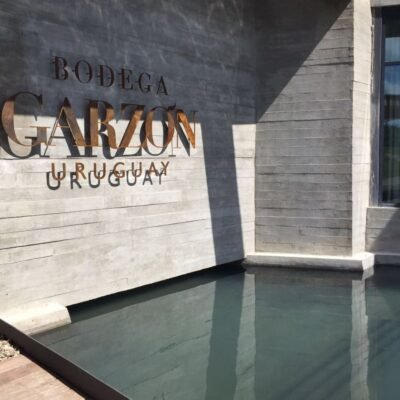 Bodega Garzón: visita e almoço na vinícola