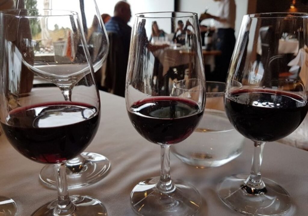 Bodega Bouza Uruguai Vinícola Montevidéu Degustação de vinhos Almoço gourmet Carros antigos Turismo em Montevidéu Vinhos uruguaios Experiência gastronômica Visita à vinícola Roteiro enogastronômico
