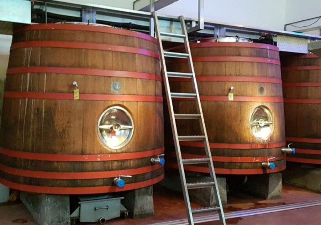 Bodega Bouza Uruguai Vinícola Montevidéu Degustação de vinhos Almoço gourmet Carros antigos Turismo em Montevidéu Vinhos uruguaios Experiência gastronômica Visita à vinícola Roteiro enogastronômico