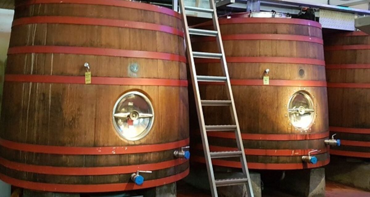 Bodega Bouza Uruguai Vinícola Montevidéu Degustação de vinhos Almoço gourmet Carros antigos Turismo em Montevidéu Vinhos uruguaios Experiência gastronômica Visita à vinícola Roteiro enogastronômico