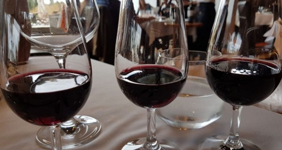 Bodega Bouza Uruguai Vinícola Montevidéu Degustação de vinhos Almoço gourmet Carros antigos Turismo em Montevidéu Vinhos uruguaios Experiência gastronômica Visita à vinícola Roteiro enogastronômico