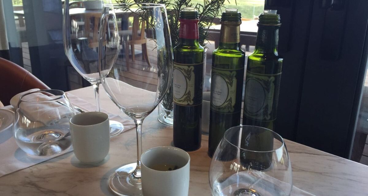 Visita Guiada Bodega Garzón Vinícola Uruguai Azeite de oliva Turismo enológico Punta del Este Vinhos Tannat Francis Mallmann Degustação gourmet Paisagem rural Complexo turístico