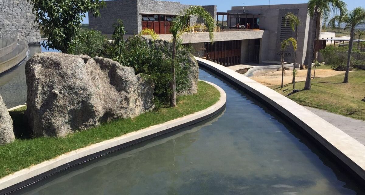 Visita Guiada Bodega Garzón Vinícola Uruguai Azeite de oliva Turismo enológico Punta del Este Vinhos Tannat Francis Mallmann Degustação gourmet Paisagem rural Complexo turístico