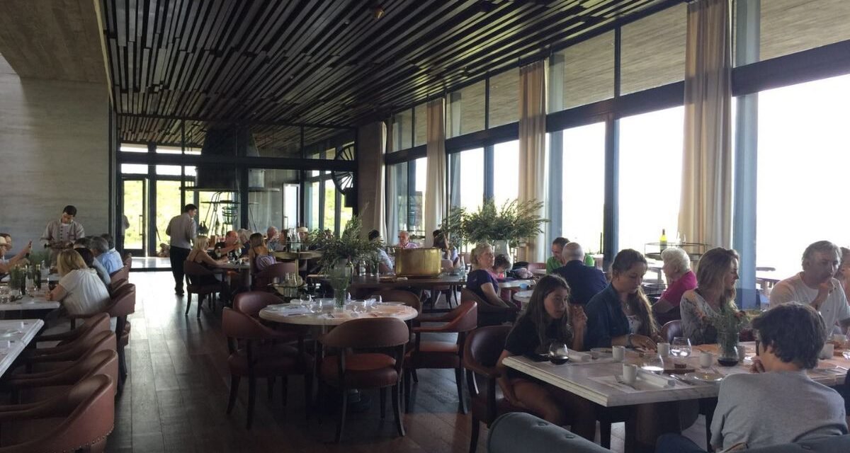 Visita Guiada Bodega Garzón Vinícola Uruguai Azeite de oliva Turismo enológico Punta del Este Vinhos Tannat Francis Mallmann Degustação gourmet Paisagem rural Complexo turístico