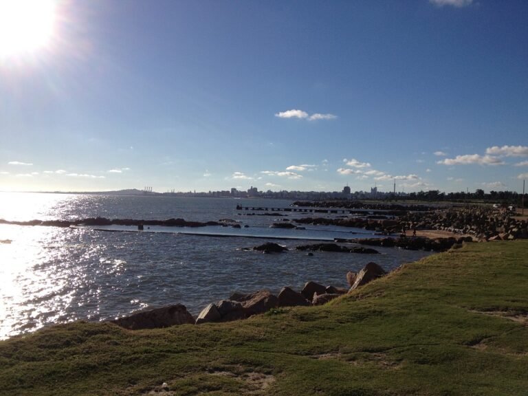 Vista panorâmica da Rambla de Montevidéu sob a luz do sol, destacando a orla banhada pelo Rio da Prata. A imagem apresenta um gramado verde em primeiro plano, rochas na costa e o horizonte urbano da capital uruguaia ao fundo, ilustrando um dos lugares imperdíveis em Montevidéu para turistas brasileiros.