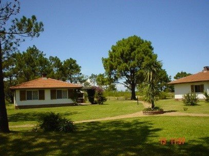 Two single-story houses in a sunny park-like yard with trees and a grassy lawn under a clear blue sky.