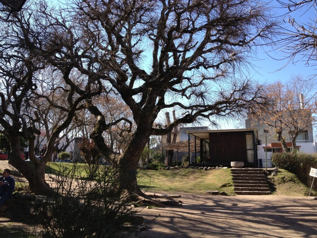 região residencial no uruguai, com casas, árvores roteiro Uruguai de 3 a 10 dias