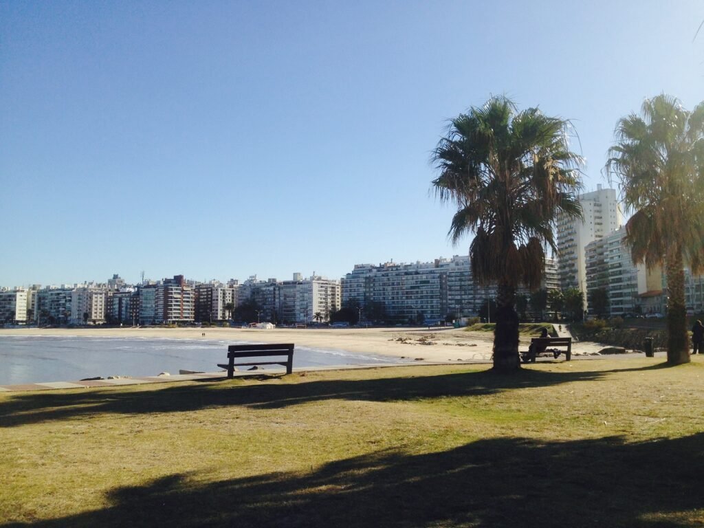 Vista panorâmica de uma praia urbana: primeiro plano gramado, palmeiras, bancos e uma fileira de prédios de apartamentos modernos ao longo da costa sob um céu azul claro melhores hotéis em Montevideo