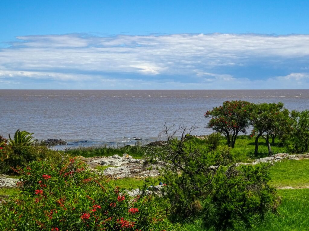 vista do mar com vegetação qual é a melhor época para viajar para o Uruguai
