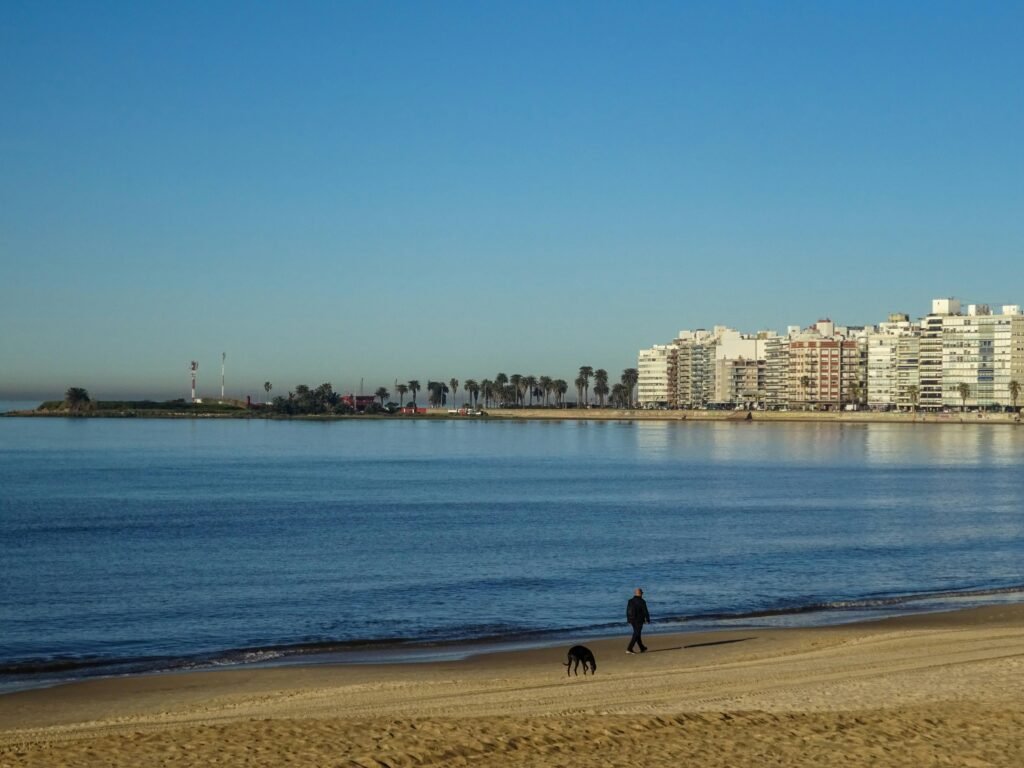 regiao de água com cidade e céu azul ao fundo Cabildo de Montevideo