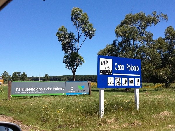 Placa azul de Cabo Polonio com ícones em um campo gramado, marcando a entrada do parque ao lado de uma longa faixa informativa verde do Parque Nacional Cabo Polonio.