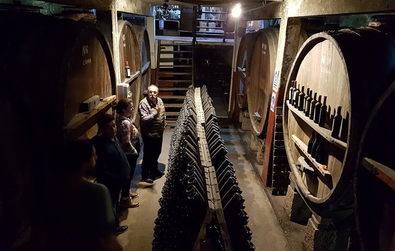 Pessoas em um passeio por uma vinícola, paradas entre grandes barris de vinho de madeira em uma adega de meia-luz, com fileiras de garrafas em suportes entre eles.