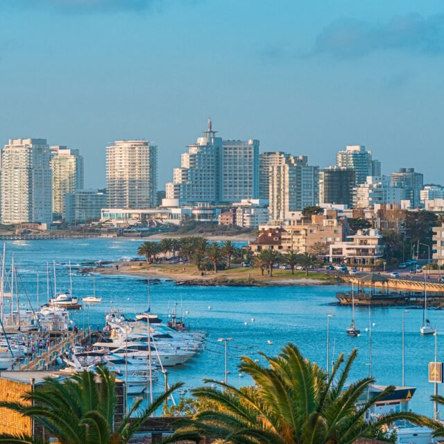 Vista panorâmica da cidade, com prédios, mar, vegetação