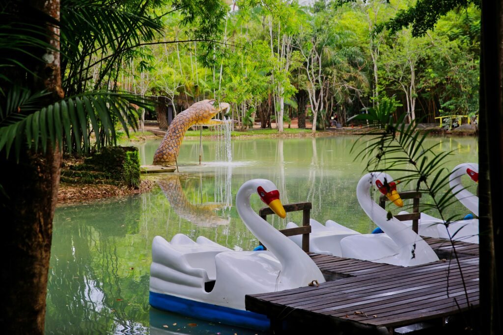lago com vegetação e pedalinhos em formato de cisne