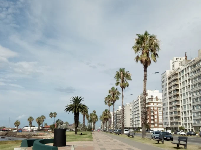 Calçadão arborizado com palmeiras ao longo da Praia de Pocitos em Montevideo