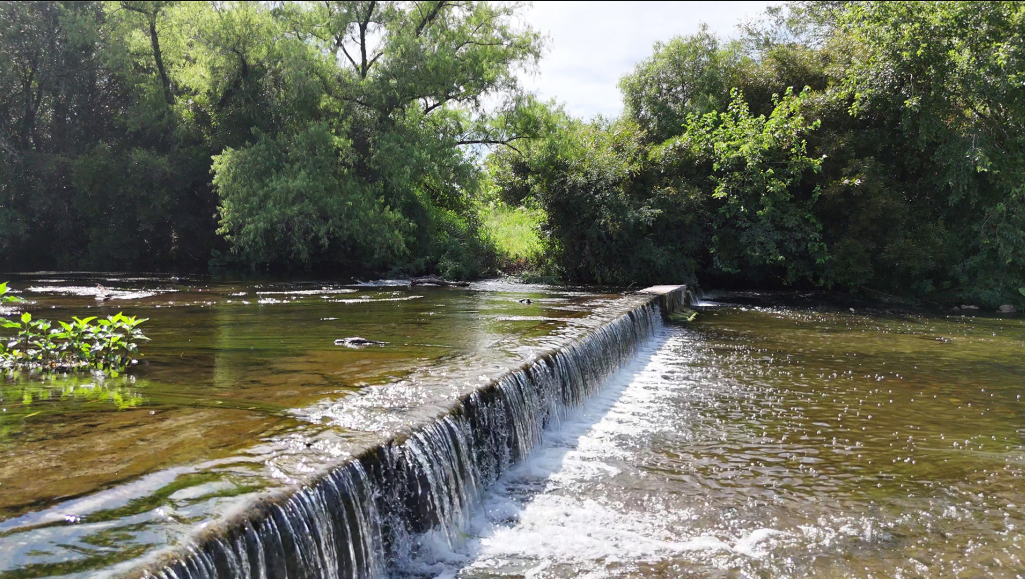 Pequena queda d'água sobre barragem em riacho cercado de vegetação nas Termas de Guaviyú