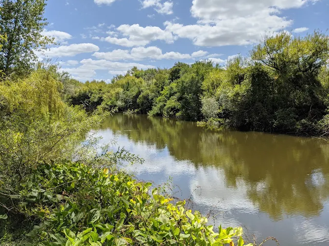 Lago cercado de vegetação verde sob céu azul no Zoo Parque Medina