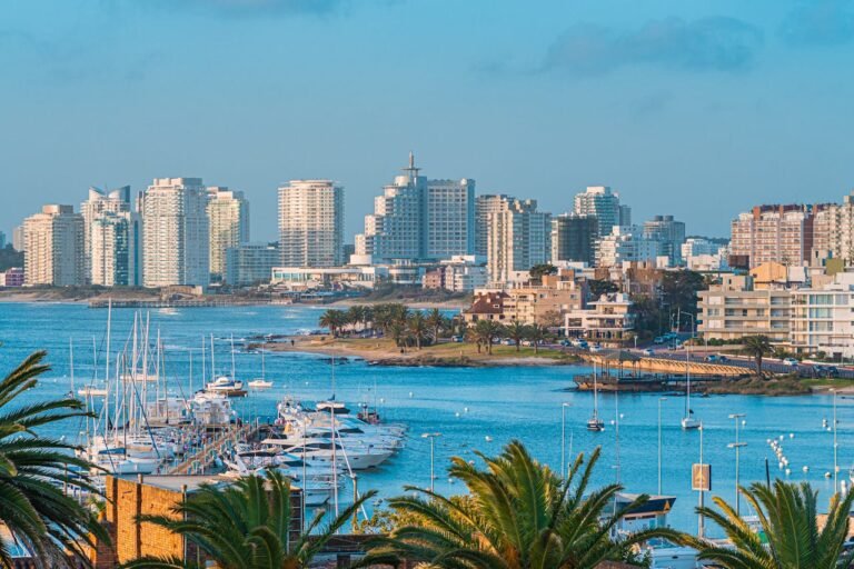 Coastal city skyline with high-rise buildings across a marina and palm trees in the foreground.