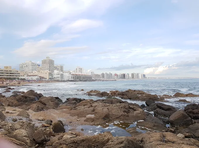 Costão rochoso da Praia El Emir com a cidade de Punta del Este ao fundo