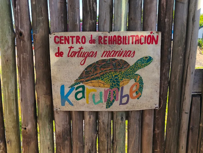 Placa pintada do Centro de Reabilitação de Tartarugas Marinhas Karumbé em cerca de madeira