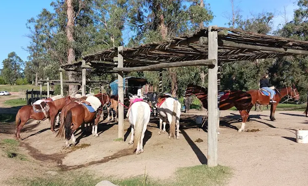 Cavalos selados sob estrutura de madeira para passeios no Parque El Jaguel