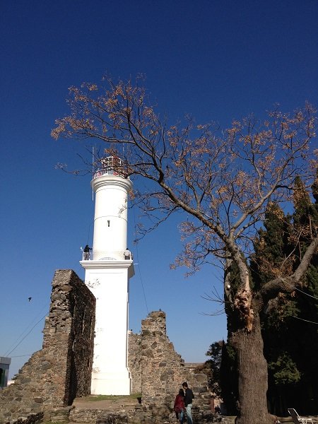 White lighthouse standing among crumbling stone walls with a leafless tree and a clear blue sky.