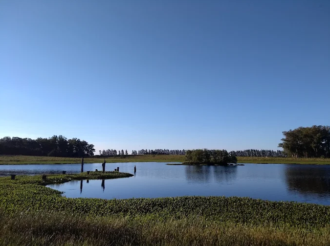 Lagoa cercada de campo aberto sob céu azul nas Termas de San Nicanor
