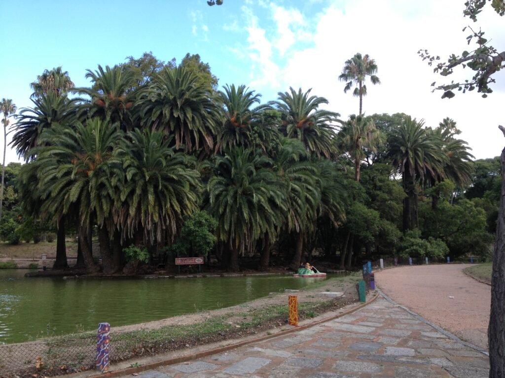 Pedalinhos no lago cercado de palmeiras no Parque Rodó em Montevideo