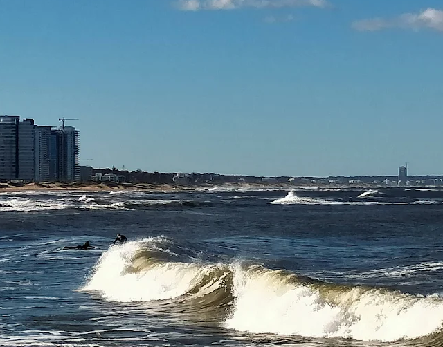 Surfistas no mar agitado da Praia El Emir com a orla de Punta del Este ao fundo