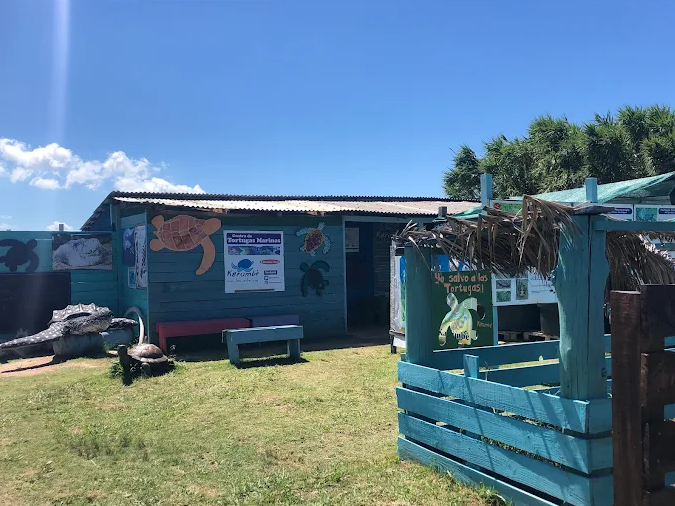 Sede de madeira azul do Karumbé com murais de tartarugas marinhas na fachada