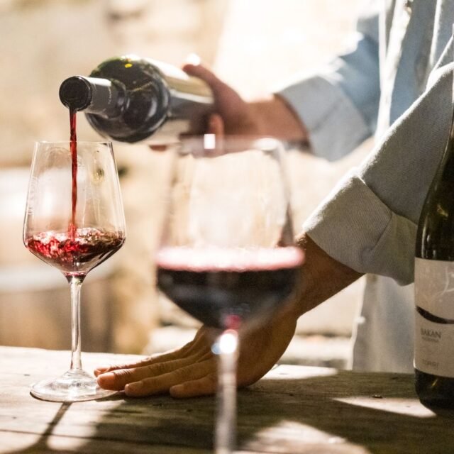 uma pessoa servindo vinho tinto de uma garrafa escura em uma taça de cristal sobre uma mesa rústica de madeira, ideal para quem aprecia explorar a variedade de vinos del mundo.